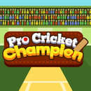 Pro cricket champion